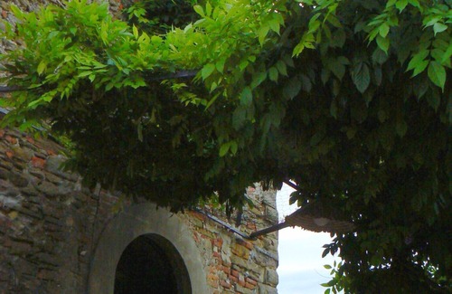 Arezzo Villa | Elegant Ancient Villa Near Arezzo with Family-Friendly Amenities