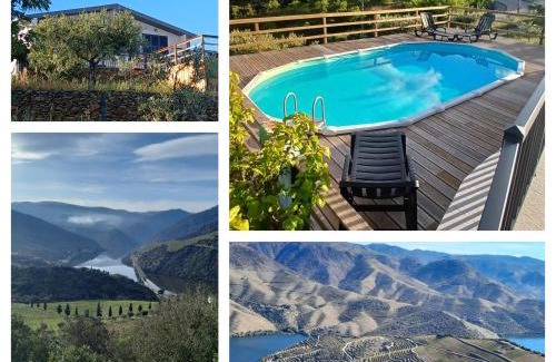Sao Joao da Pesqueira House | Discover Casa do Olival: Family-Friendly with Pool Access