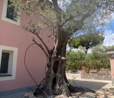 Marina di Andora Apartment | Ocean View Haven - Casa Rosa for Family and Pet Getaways