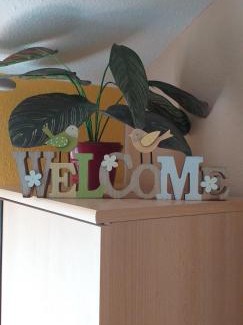 Gyula Apartment | Kid-Friendly Andi Apartman with a 9.3/10 Guest Rating