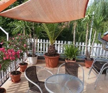 Gyula Apartment | Kid-Friendly Andi Apartman with a 9.3/10 Guest Rating