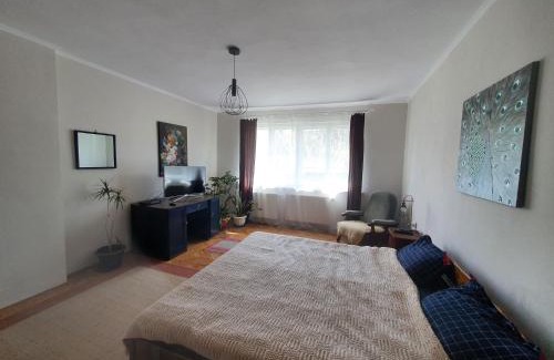 Sfantu Gheorghe Apartment | Andrea Apartman: Pet-Friendly Retreat with 9.4 Guest Rating