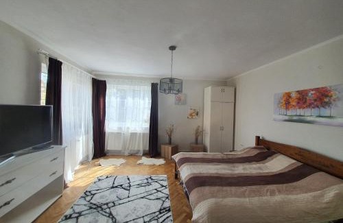 Sfantu Gheorghe Apartment | Andrea Apartman: Pet-Friendly Retreat with 9.4 Guest Rating