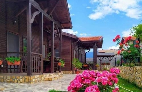 Sapareva Banya House | Quality Andreevite Houses: Pet-Friendly Stay with Breakfast
