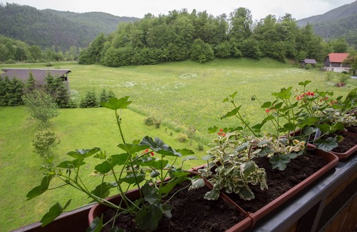 Bohinj House | Discover ANDREJ 3 Apartment with Family-Friendly Amenities