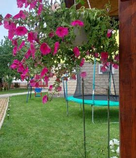 Municipality of Gracac Apartment | Family-Friendly Stays at Andrić: Your Home Away From Home