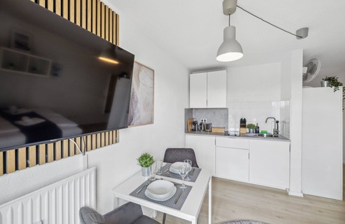 Kaiserslautern Apartment | ANDRISS: Ideal Study & Work Apartment with Balcony & Kitchen