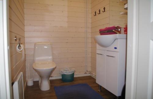 Anetjarvi House | Unforgettable Stays at Aneen Loma Vacation and Cottages