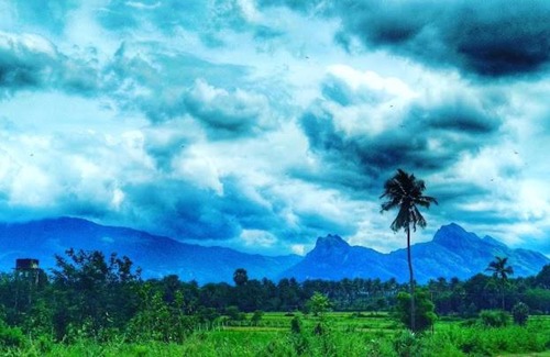Palakkad House | Aneys River view Home stay & resort