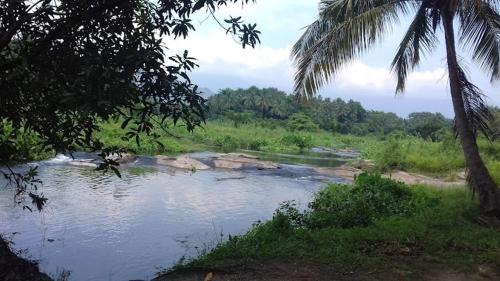Palakkad Apartment | Aneys River View Home stay & Resort