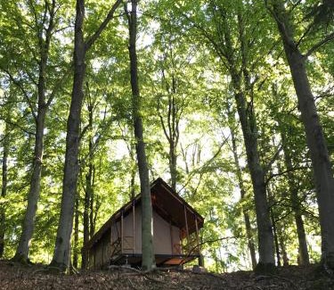Ljungskile Other | Relax at Anfasteröd Gårdsvik - Tents with Ocean Views