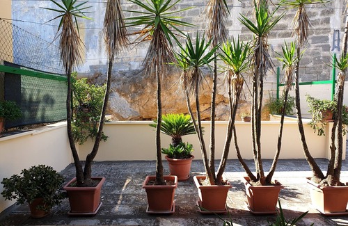 Oria House | Angelo's House with Terrace: Pet-Friendly Getaway