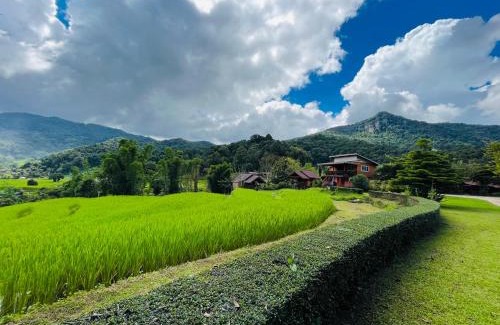 Chom Thong House | Angha forest view บ้านริมไผ่