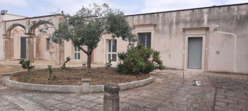 Lizzanello House | Anghelos