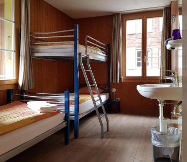 Lauterbrunnen Apartment | Top-Rated Hornerpub Apartments: Pet and Child Friendly Stays