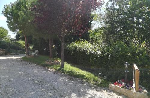 Castignano Bed & Breakfast | Pet-Friendly ANGOLO FELICE B&B with 9/10 Guest Rating