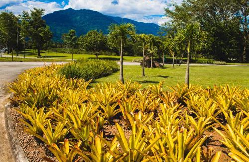Bracui Apartment | Oceanfront Angra TOP2: Pool, Marina & Child-Friendly Fun