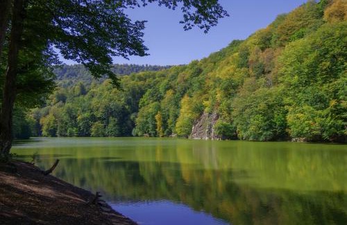 Dilijan Hotel | Ani Forest Hills Hotel and Resort, Dilijan