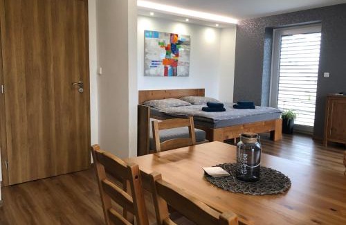 Dolni Benesov Apartment | Top-Rated ANICO Apartmány: Perfect for Families