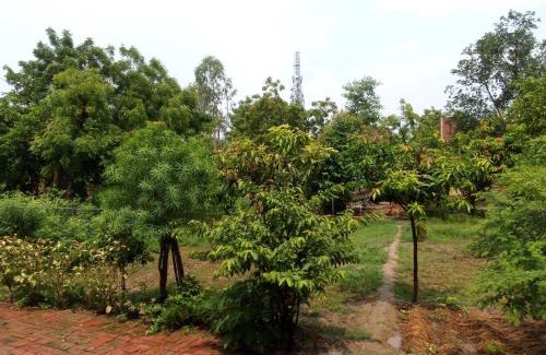 Purwa House | Anita Devi home stay