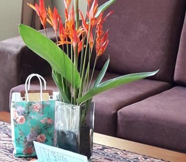 Dungun Ski Chalet | Discover Anjung Nor Muslim Homestay: 4-Star Guest Rated Stay
