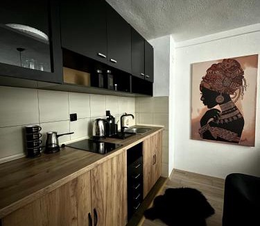 Stip Apartment | Cozy ANKA APARTMENT: 9/10 Guest Rated & Pet Friendly