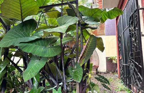 Baguio House | Spacious Ann's Villa with Balcony, Parking & Family Amenities