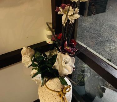 Glen Innes Hotel | Comfortable Stay at Anna Bella Motel Glen Innes