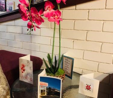 Glen Innes Hotel | Comfortable Stay at Anna Bella Motel Glen Innes
