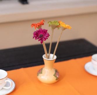 Lesvos Villa | Family-Friendly Getaway at Anna's Stone House - 10/10 Rating