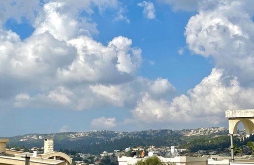 Daliyat al-Karmel Apartment | Pet-Friendly Anne Spa by Miral: Pool & Hot Tub Retreat