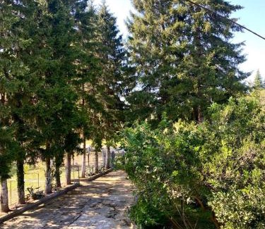 Samegrelo-Zemo Svaneti House | Pet-Friendly Anno's House: 10/10 Guest Rated Retreat