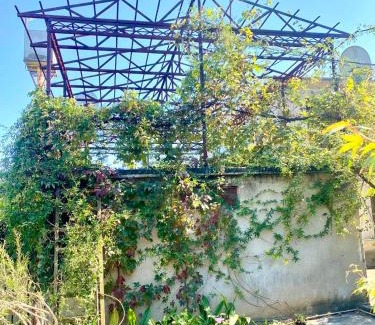 Samegrelo-Zemo Svaneti House | Pet-Friendly Anno's House: 10/10 Guest Rated Retreat