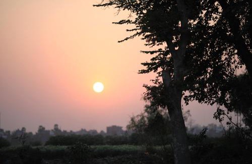 Bodh Gaya House | Charming Ansari House: Family-Friendly Stay with High Ratings