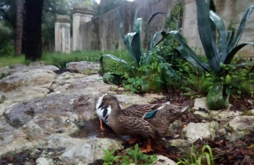 Maglie House | Experience Antica Riserva dei Daini: Rated 10/10 with Breakfast