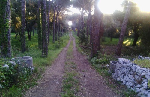 Maglie House | Experience Antica Riserva dei Daini: Rated 10/10 with Breakfast