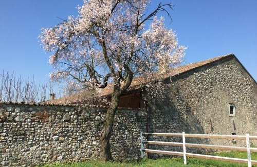 Lonato del Garda Bed & Breakfast | Discover Antico Cascinale Lombardo: Pet-Friendly Retreat
