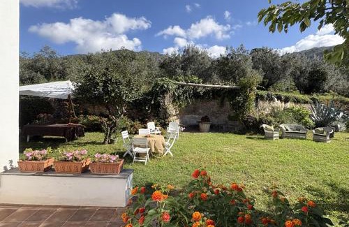 Cava de' Tirreni House | Antico Casolare Uliveto