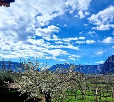 Mezzocorona House | Welcoming Antico Fienile Agritur: Family-Friendly Retreat