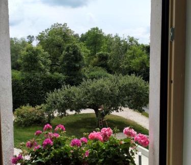 Sedico Bed & Breakfast | Top Rated Antico Melo B&B: Family & Pet Friendly Getaway
