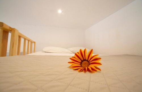 Chalikounas House | Antigone’s Garden: Pet-Friendly Paradise with Ocean Views