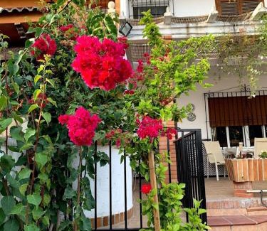 Campanillas House | Discover Antigua Estación de Campanillas: Oceanfront Escape