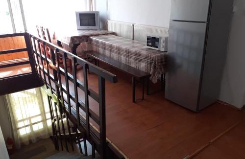 Baile Tusnad House | Pet-Friendly Antonia: Ideal for Families on a Budget