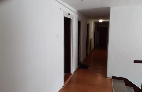 Baile Tusnad House | Pet-Friendly Antonia: Ideal for Families on a Budget