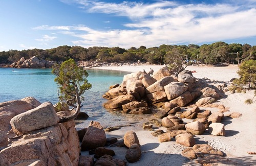 Arzachena Apartment | Relax at Antonio Residence, Costa Smeralda with Spa & Kitchen