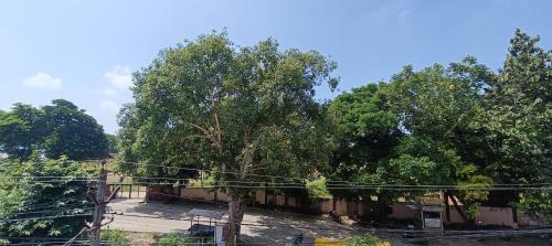 Bodh Gaya House | ANUP HOUSe
