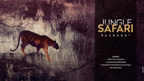Sawai Madhopur Resort | Delightful Anuraga Palace with Ocean View & Pool Access