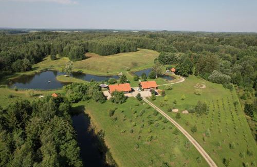 Anyksciai Cabin | Unforgettable Stay at Anykščiai MĖNULIO AKMUO with Ocean Views