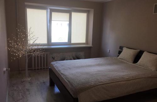 Anyksciai Apartment | Cozy Stay at Anyksciu Liuksas: Pet-Friendly & Family Welcoming