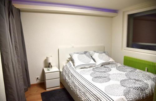 Anzere Apartment | Cozy Anzère Apartment in the Heart of the Alps - Pet Friendly